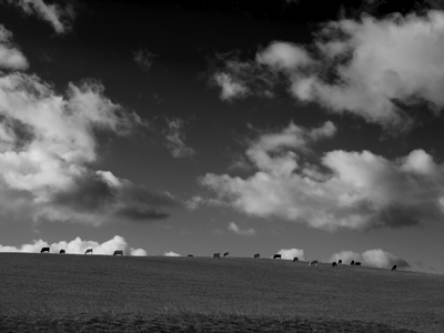 BW strong sky